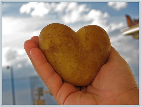 heart potato Potato